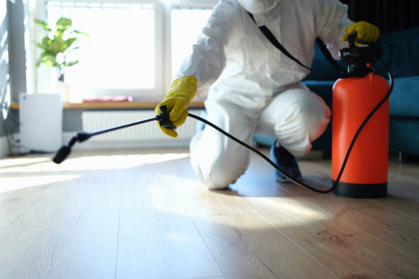 Trusted Sewage Cleanup service in Portsmouth, OH - Four Month Blood Cleanse